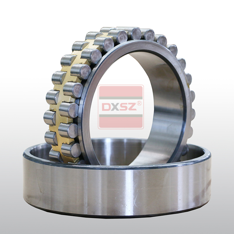 Double row cylindrical roller bearings